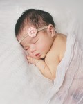 IMG_6733 copy